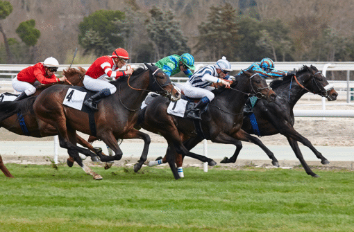 2025年1月31星期六維德選馬測試🏇